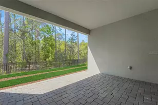 14371 Crest Palm Ave, Windermere, FL 34786 - Photo 38
