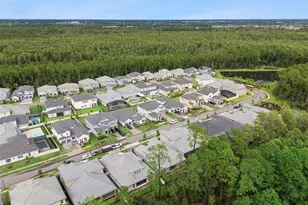 14371 Crest Palm Ave, Windermere, FL 34786 - Photo 62