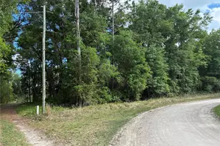 SE 142nd Ave and SE 120th Pl, Ocklawaha, FL 32179 - Photo 1