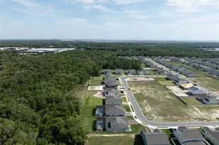 5897 Sierra Crown St, Mount Dora, FL 32757 - Photo 72