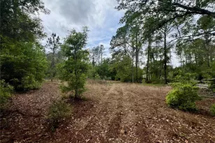 20825 County Rd 44A, Eustis, FL 32736 - Photo 66