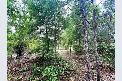 20825 County Road 44A, Eustis, FL 32736 - Photo 68