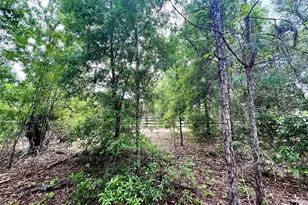 20825 County Rd 44A, Eustis, FL 32736 - Photo 68