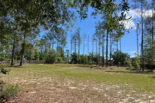 20825 County Rd 44A, Eustis, FL 32736 - Photo 20