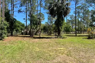 20825 County Rd 44A, Eustis, FL 32736 - Photo 74