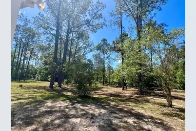 20825 County Road 44A, Eustis, FL 32736 - Photo 70