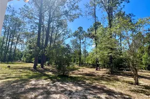 20825 County Rd 44A, Eustis, FL 32736 - Photo 70