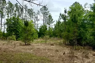 20825 County Rd 44A, Eustis, FL 32736 - Photo 64