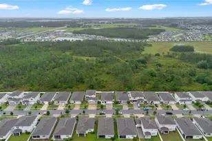 4334 Southern Vista Loop, Saint Cloud, FL 34772 - Photo 30