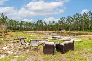 12655 NE 215 St, Fort Mc Coy, FL 32134 - Photo 34