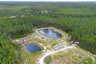 12655 NE 215 St, Fort Mc Coy, FL 32134 - Photo 34