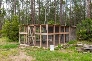 12655 NE 215 St, Fort Mc Coy, FL 32134 - Photo 26