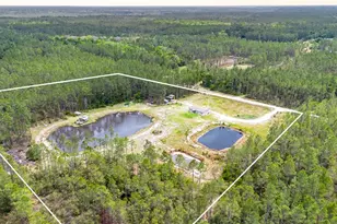 12655 NE 215 St, Fort Mc Coy, FL 32134 - Photo 40
