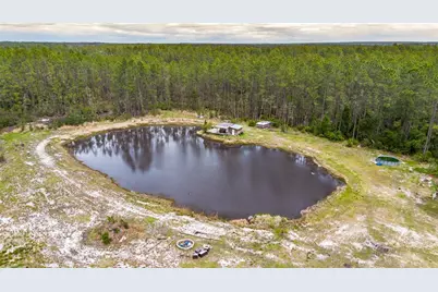 12655 NE 215th Street, Fort Mc Coy, FL 32134 - Photo 46