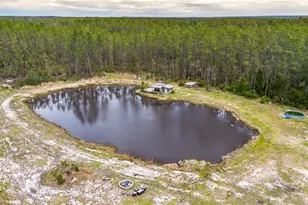 12655 NE 215 St, Fort Mc Coy, FL 32134 - Photo 46