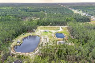 12655 NE 215 St, Fort Mc Coy, FL 32134 - Photo 42