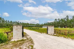 12655 NE 215 St, Fort Mc Coy, FL 32134 - Photo 60