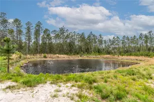 12655 NE 215 St, Fort Mc Coy, FL 32134 - Photo 32