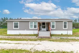 12655 NE 215 St, Fort Mc Coy, FL 32134 - Photo 2
