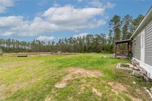 12655 NE 215 St, Fort Mc Coy, FL 32134 - Photo 54