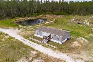 12655 NE 215 St, Fort Mc Coy, FL 32134 - Photo 48