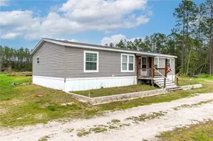 12655 NE 215 St, Fort Mc Coy, FL 32134 - Photo 60