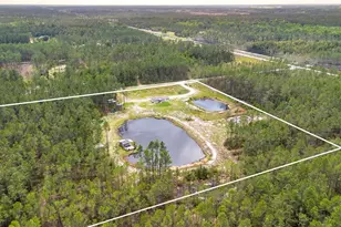 12655 NE 215 St, Fort Mc Coy, FL 32134 - Photo 44