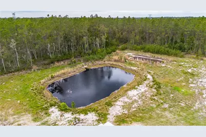 12655 NE 215th Street, Fort Mc Coy, FL 32134 - Photo 52