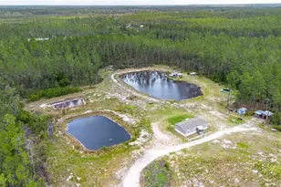 12655 NE 215 St, Fort Mc Coy, FL 32134 - Photo 38