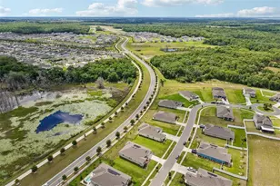 6049 Claystone Wy, Mount Dora, FL 32757 - Photo 50