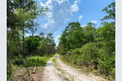 30165 W Bluebell Avenue, Eustis, FL 32736 - Photo 42