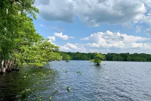 30165 W Bluebell Ave, Eustis, FL 32736 - Photo 46