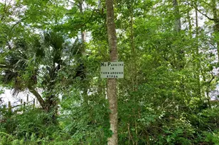 30165 W Bluebell Ave, Eustis, FL 32736 - Photo 44