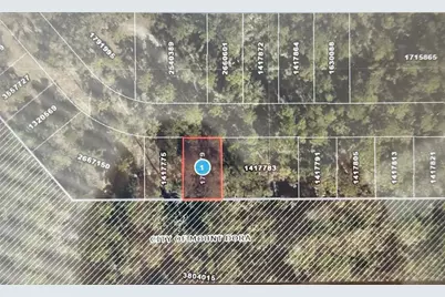 Lot 34 Wolf Branch Rd, Mount Dora, FL 32757 - Photo 2