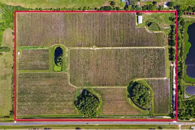 7453 Jones Avenue, Mount Dora, FL 32757 - Photo 2