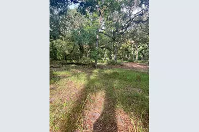 2260 Panorama Drive, Chuluota, FL 32766 - Photo 50