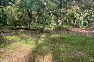 2260 Panorama Dr, Chuluota, FL 32766 - Photo 50