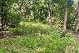 2260 Panorama Dr, Chuluota, FL 32766 - Photo 48