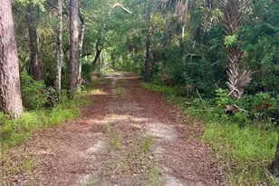 2260 Panorama Dr, Chuluota, FL 32766 - Photo 62