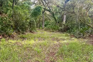 2260 Panorama Dr, Chuluota, FL 32766 - Photo 60