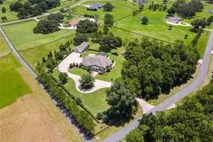 10615 NE 104th Cir, Oxford, FL 34484 - Photo 2