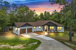 2187 Co Rd 243C, Wildwood, FL 34785 - Photo 1