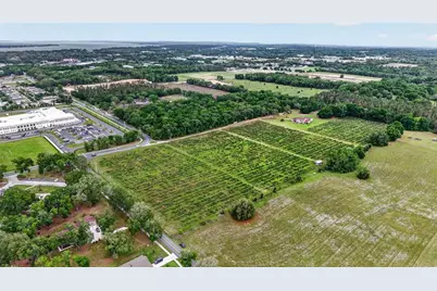 Urick Street, Fruitland Park, FL 34731 - Photo 10
