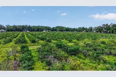 Urick Street, Fruitland Park, FL 34731 - Photo 14