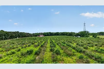 Urick Street, Fruitland Park, FL 34731 - Photo 1