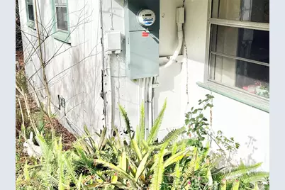 20800 NE 146th Terrace, Fort Mc Coy, FL 32134 - Photo 10