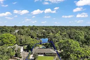705 Summit Ct, Mount Dora, FL 32757 - Photo 36