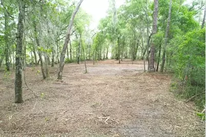 Locust Run Course, Ocala, FL 34472 - Photo 2