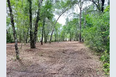 Locust Run Course, Ocala, FL 34472 - Photo 8