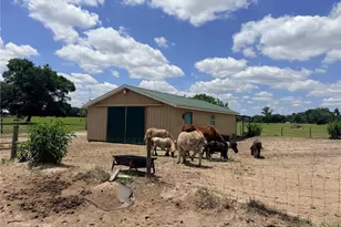 12764 Co Rd 223, Oxford, FL 34484 - Photo 66